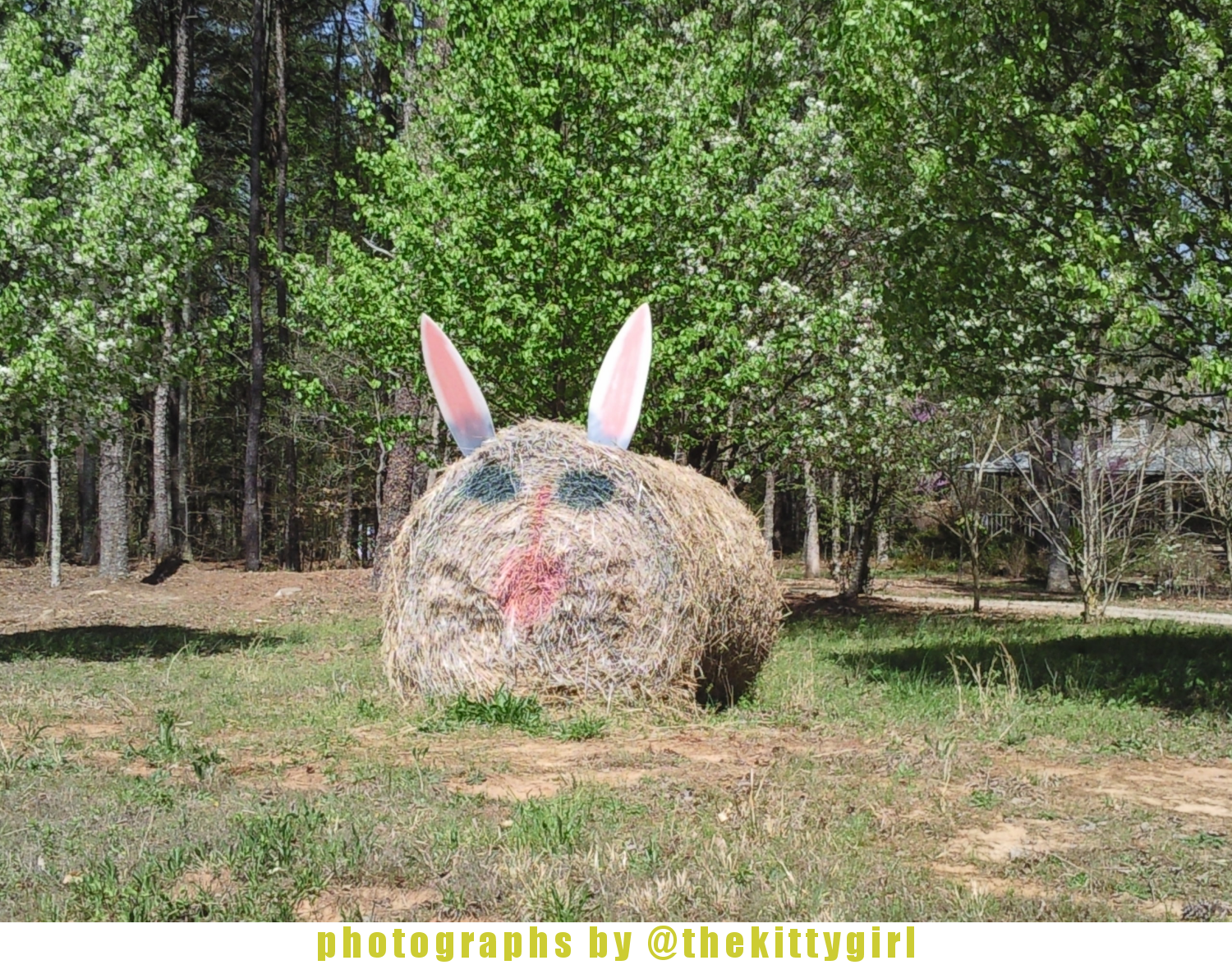 HayEasterBunny2.png