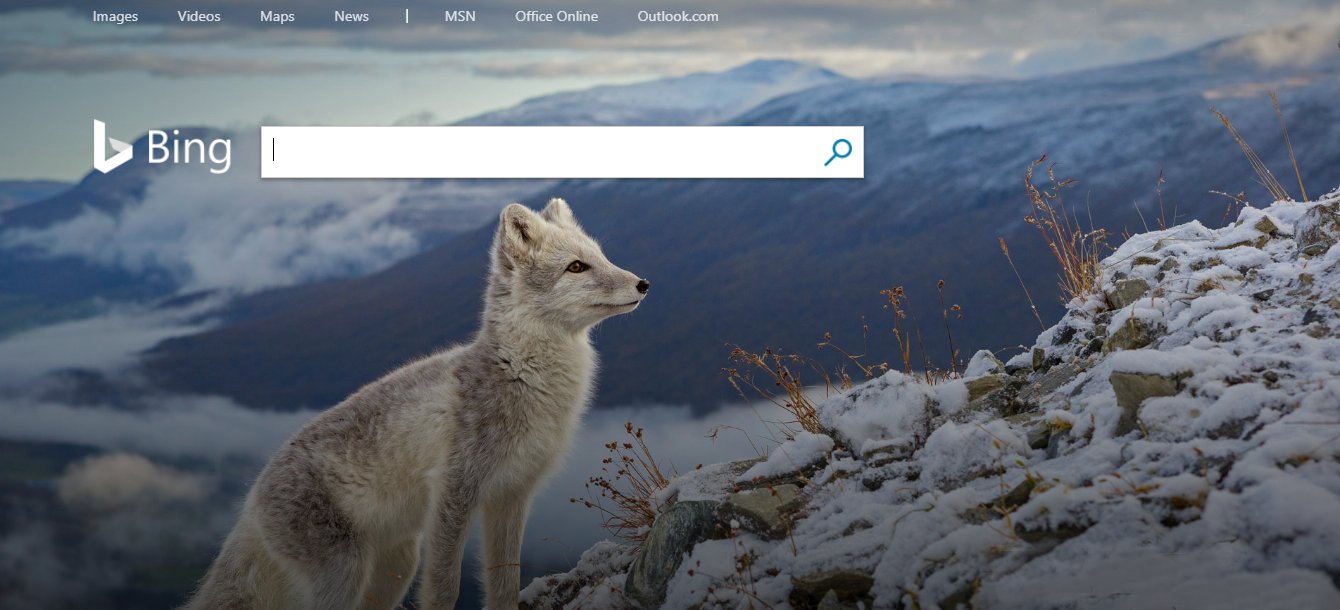 ArcticFox.jpg