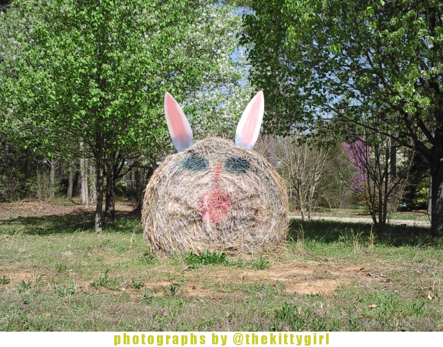 HayEasterBunny1.png
