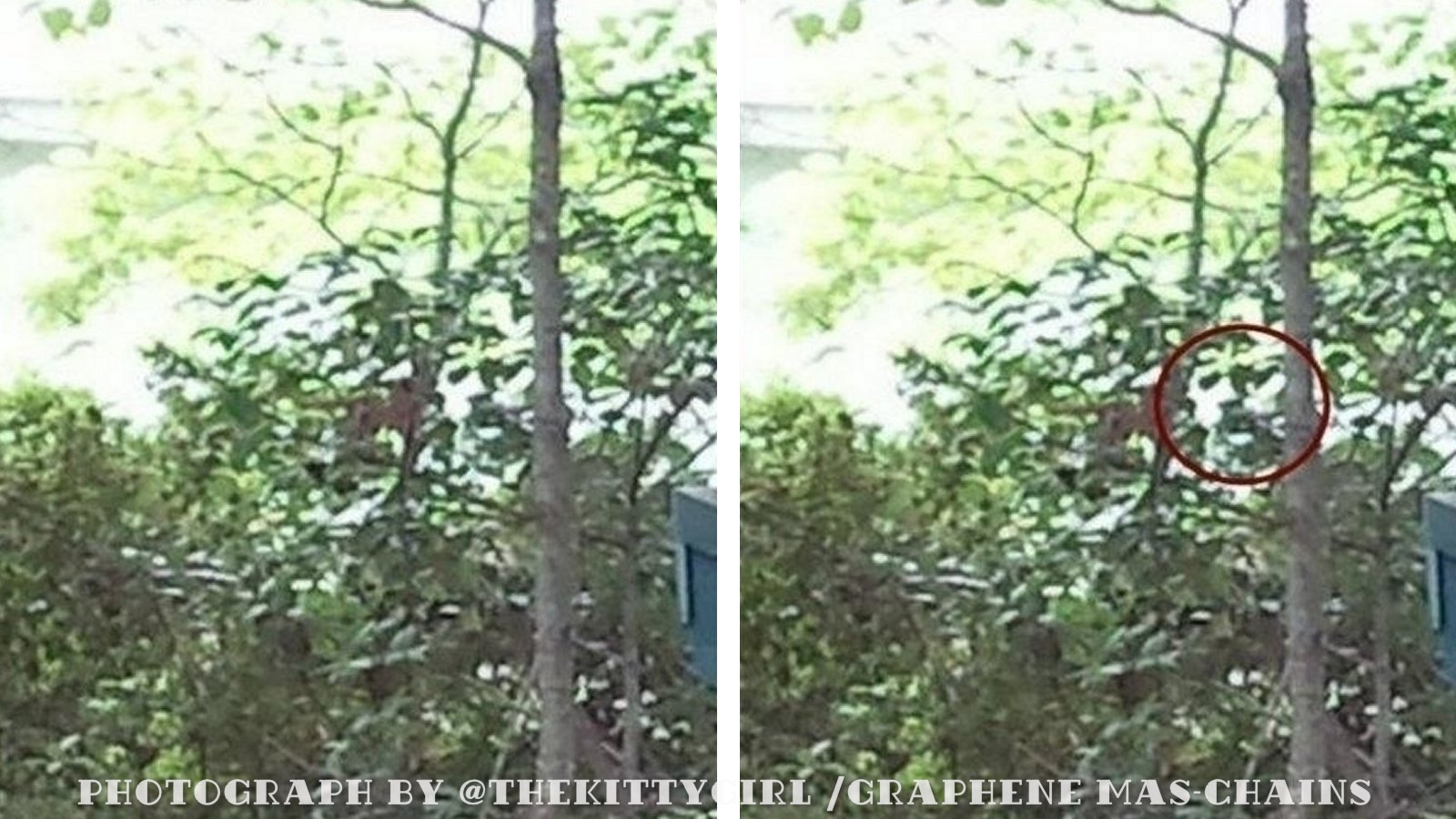 Teddy2.png