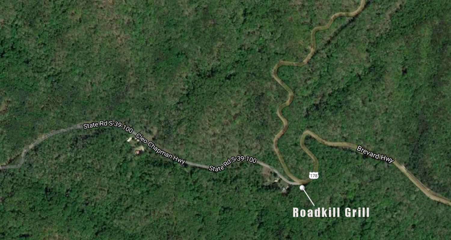 RoadkillGrillaerial.png
