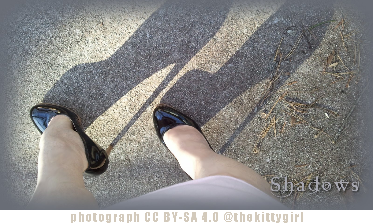 Shadows.png