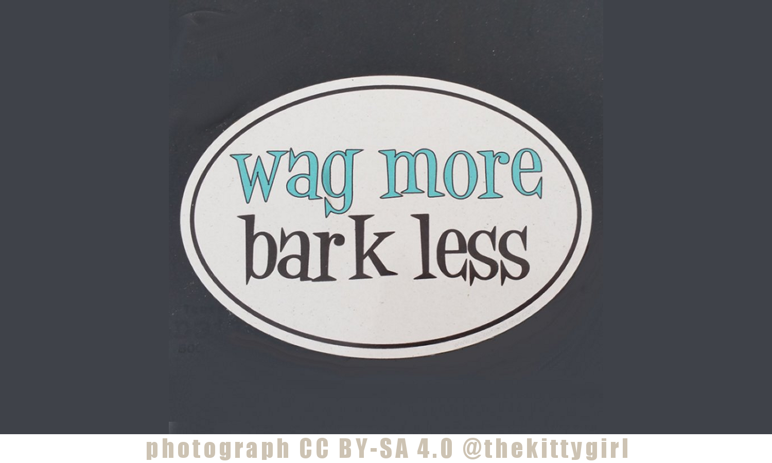 WagMoreBarkLess.png