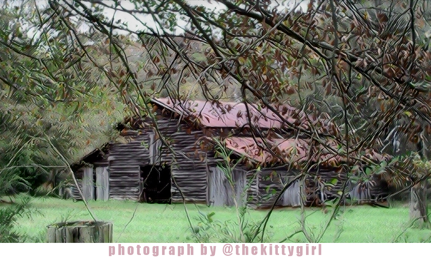 OldBarn030Thin15Luminance.png