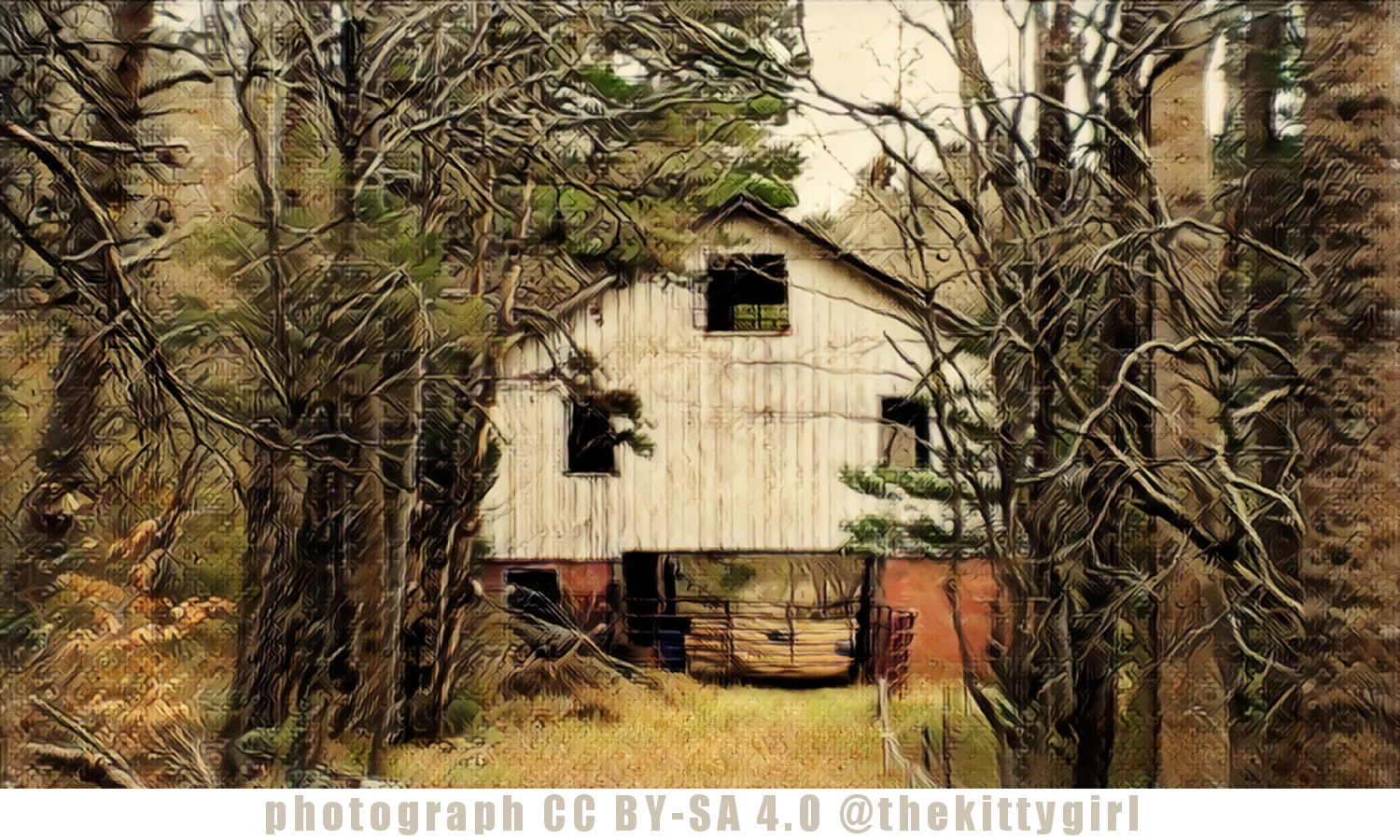OldBarn04215soft.png