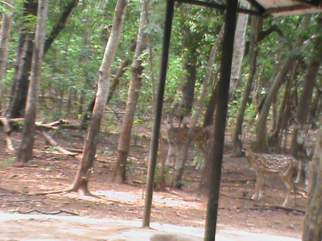 DSC00372.JPG