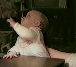26.gif