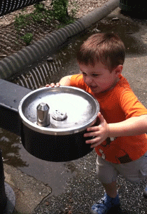 28.gif