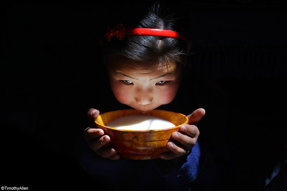 Mongoliagrasslandstimothyallen11151.jpg