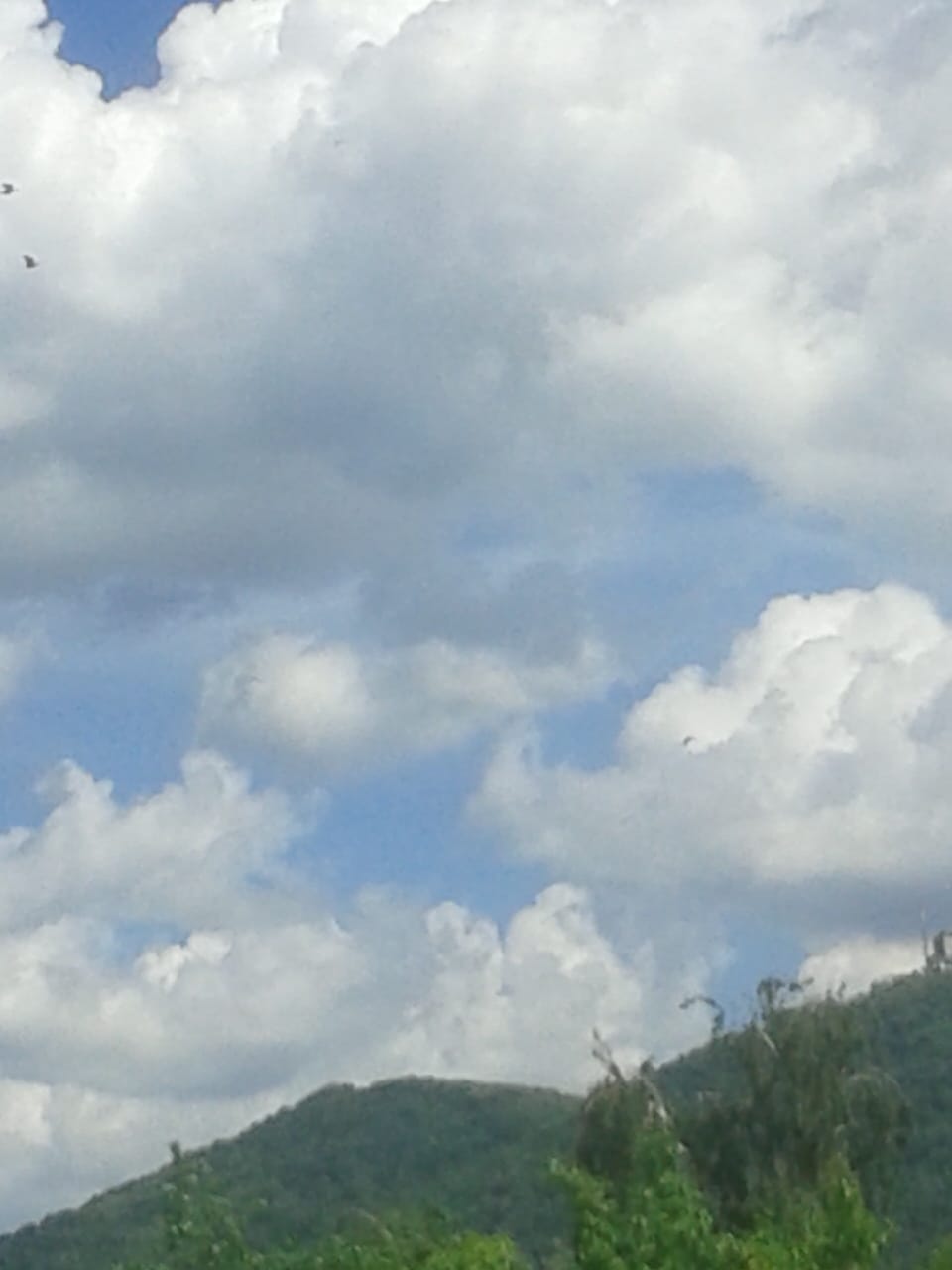 IMG20190514WA0004.jpg