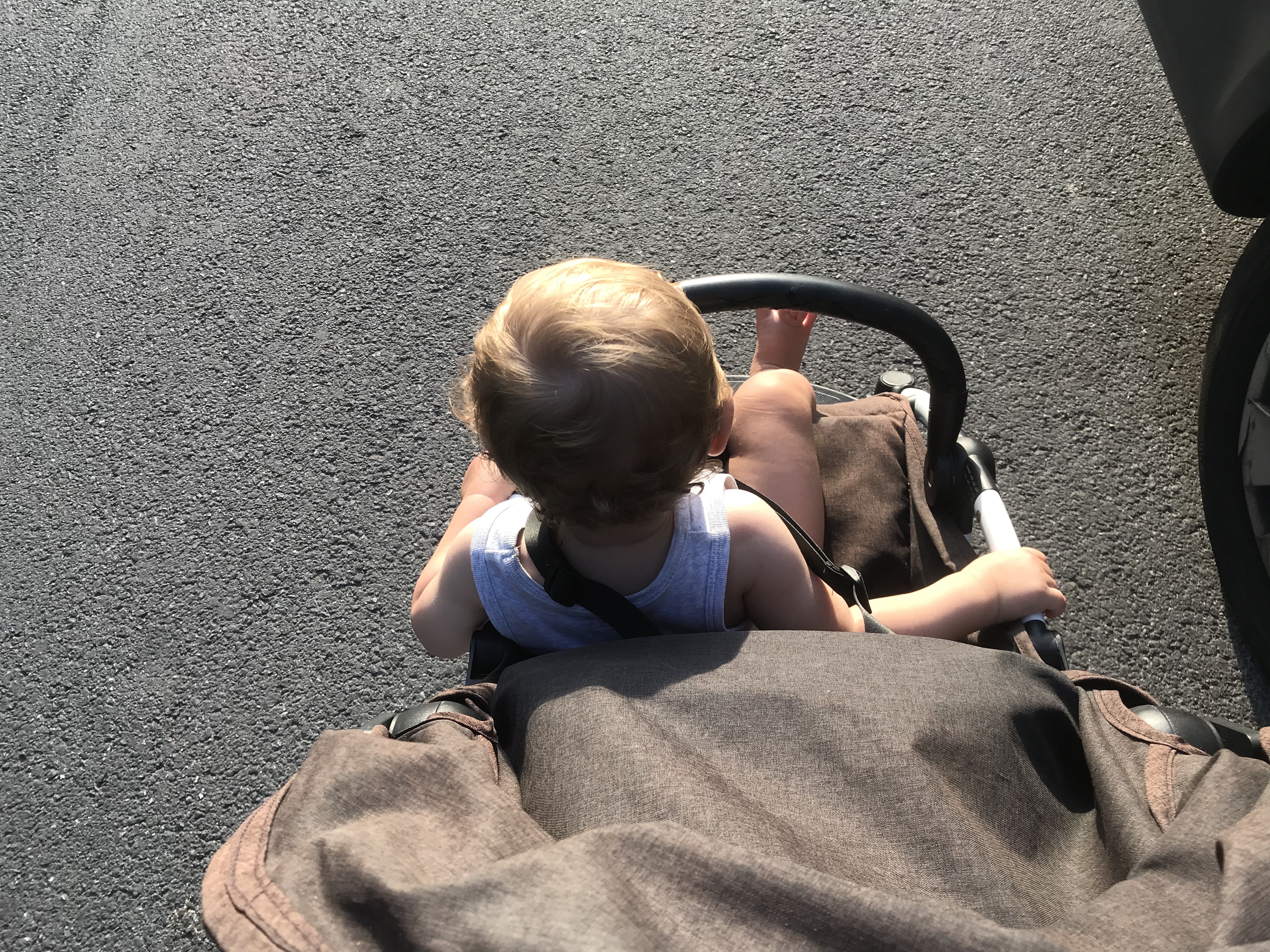 F20C7DAD6A9A47E7A600B45218A1F849.jpeg