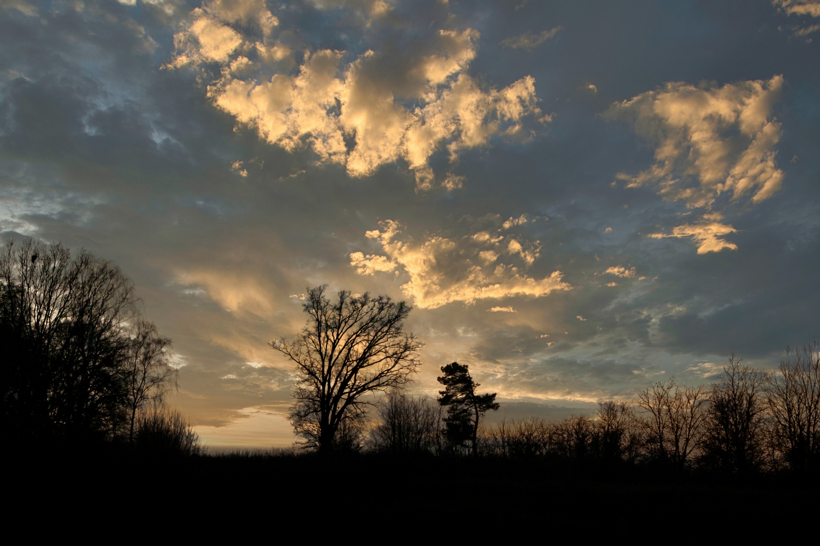 _DSC2010.jpg