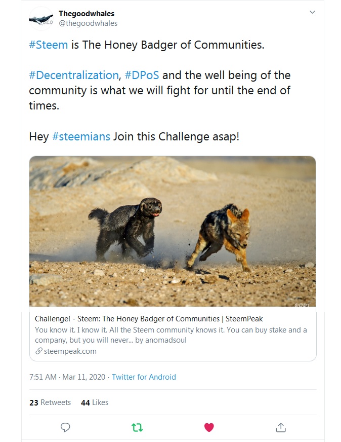 Thegoodwhales tweet.jpg