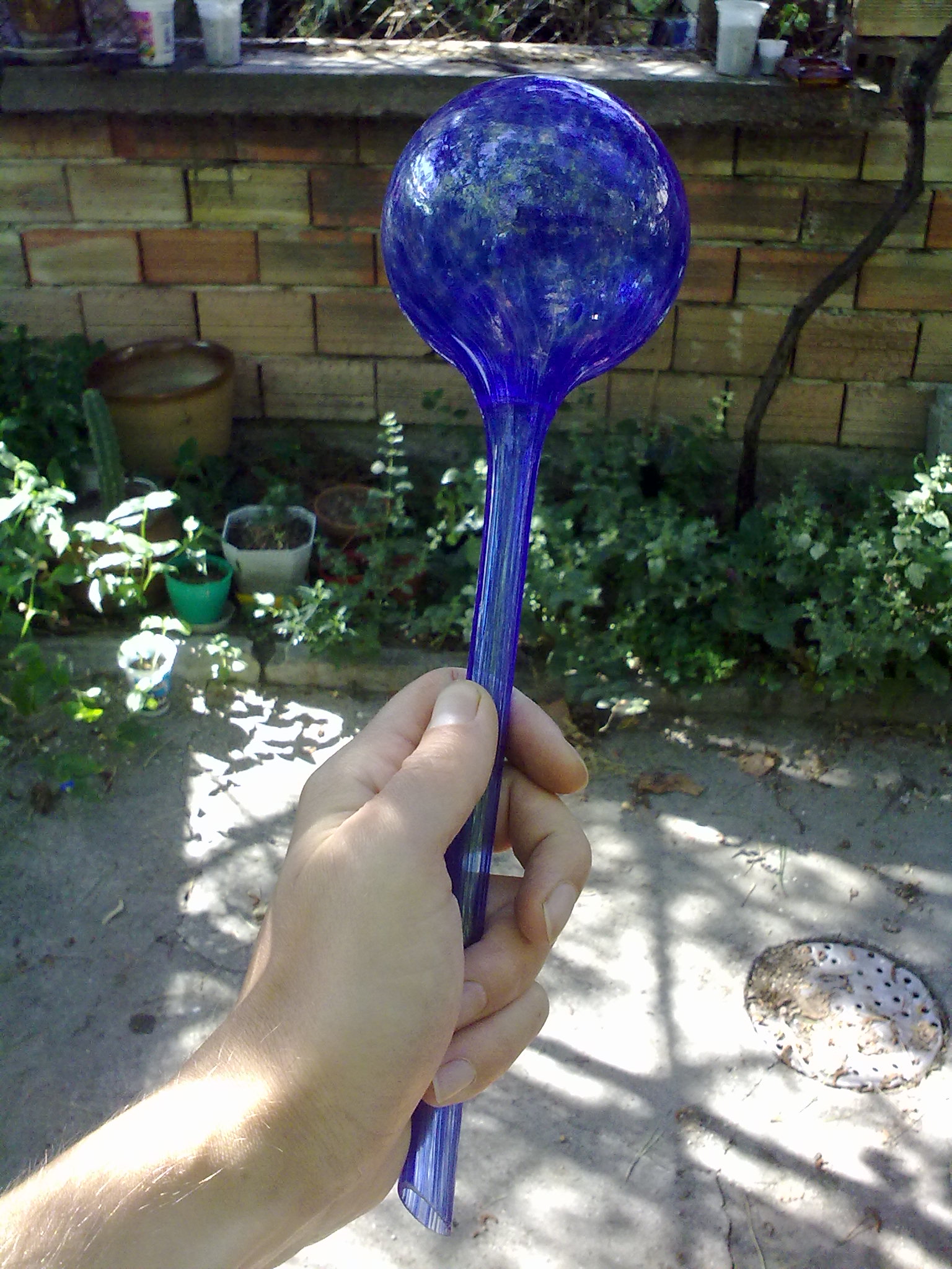 310720111029.jpg