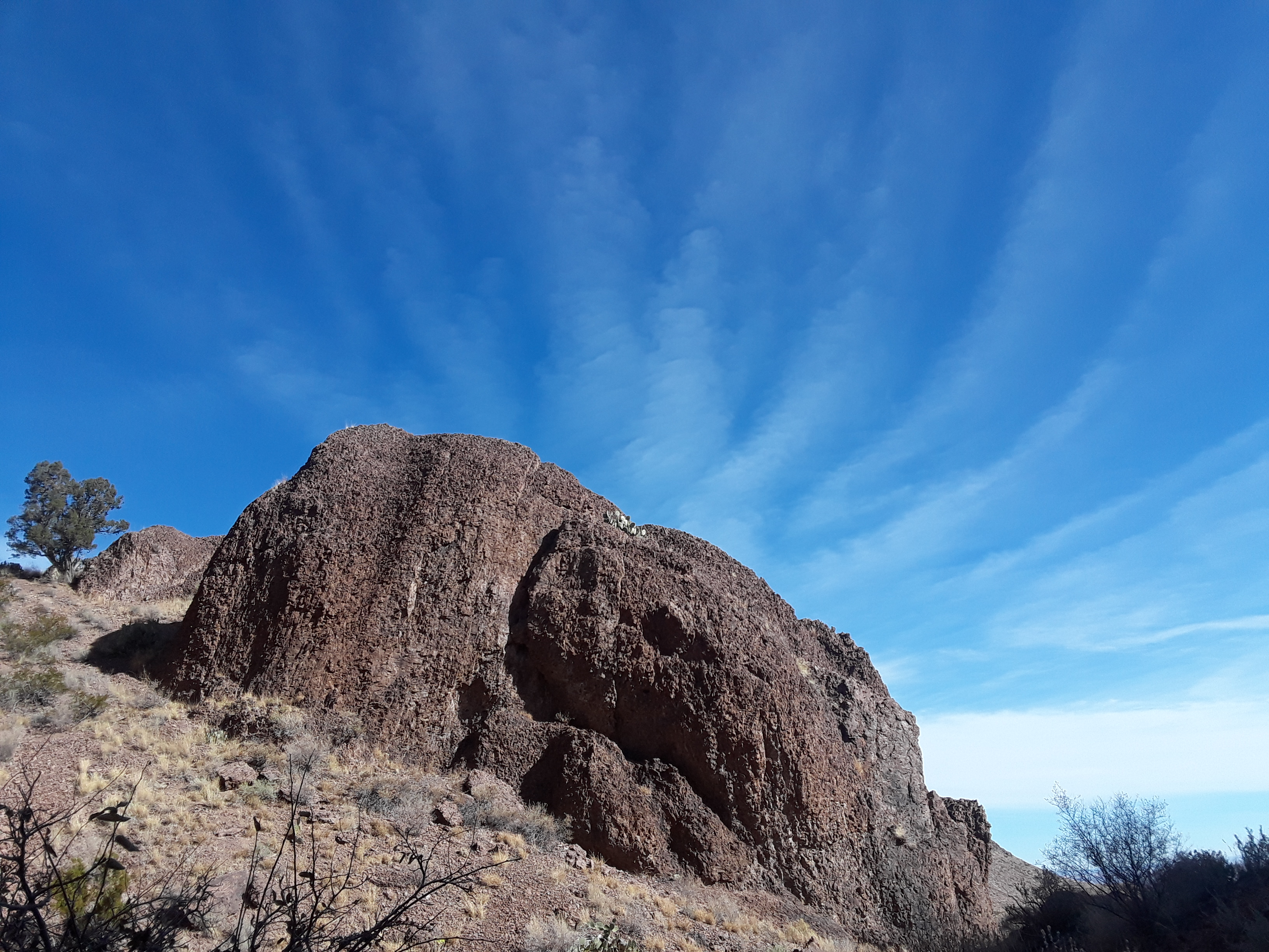 20181210_1056420.jpg