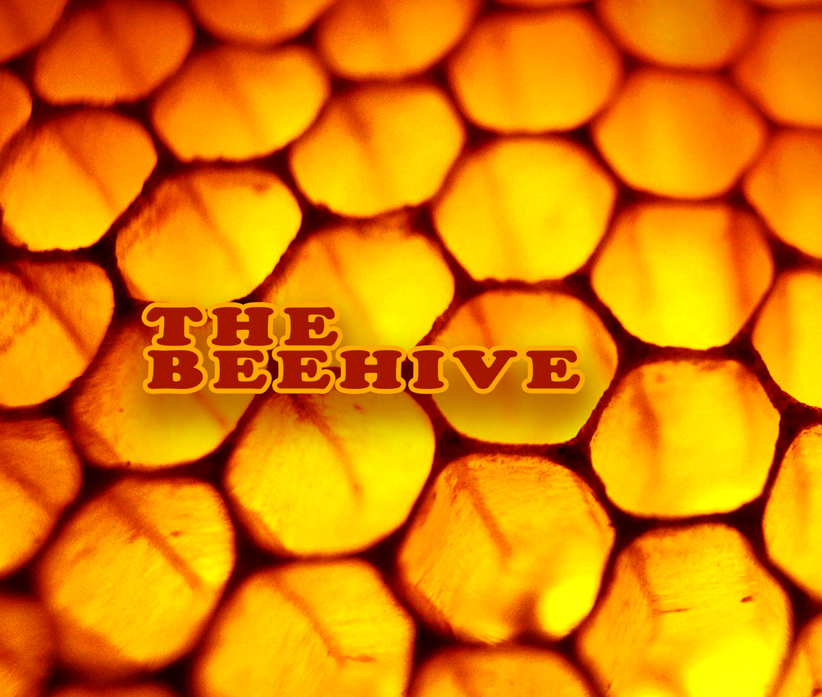 44_beehive.jpg