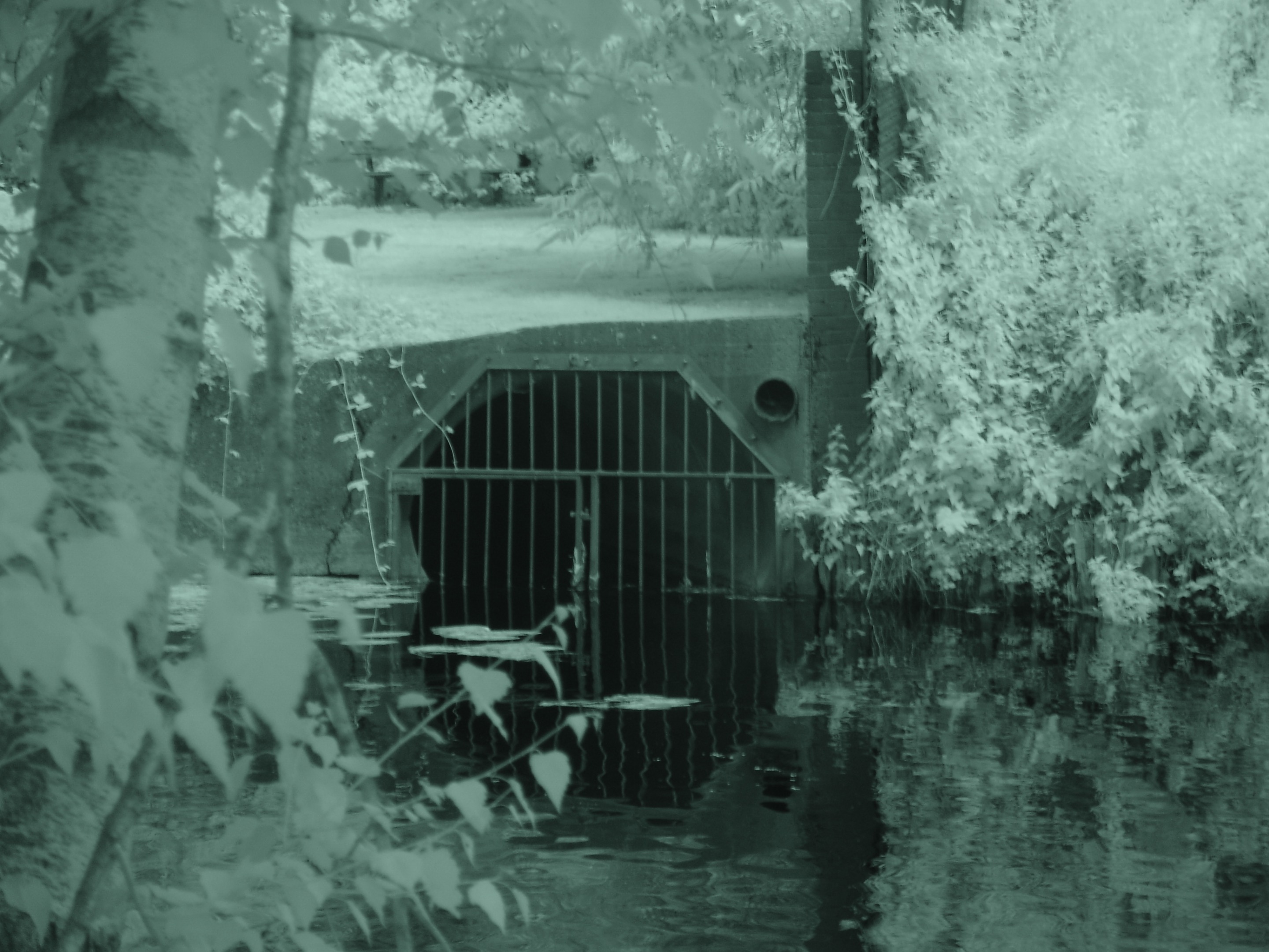 hidden sewer