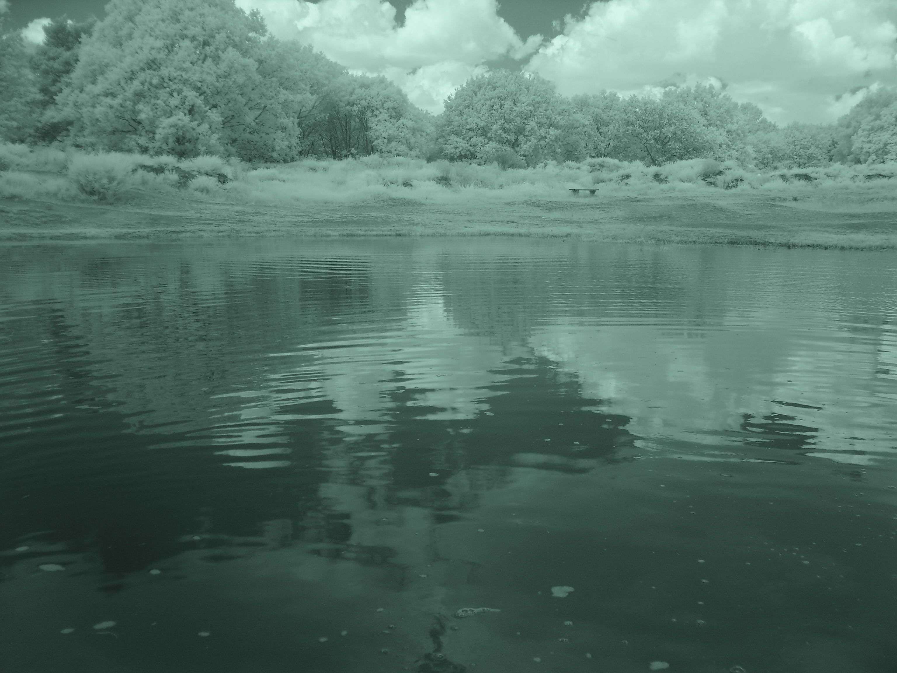 ripples