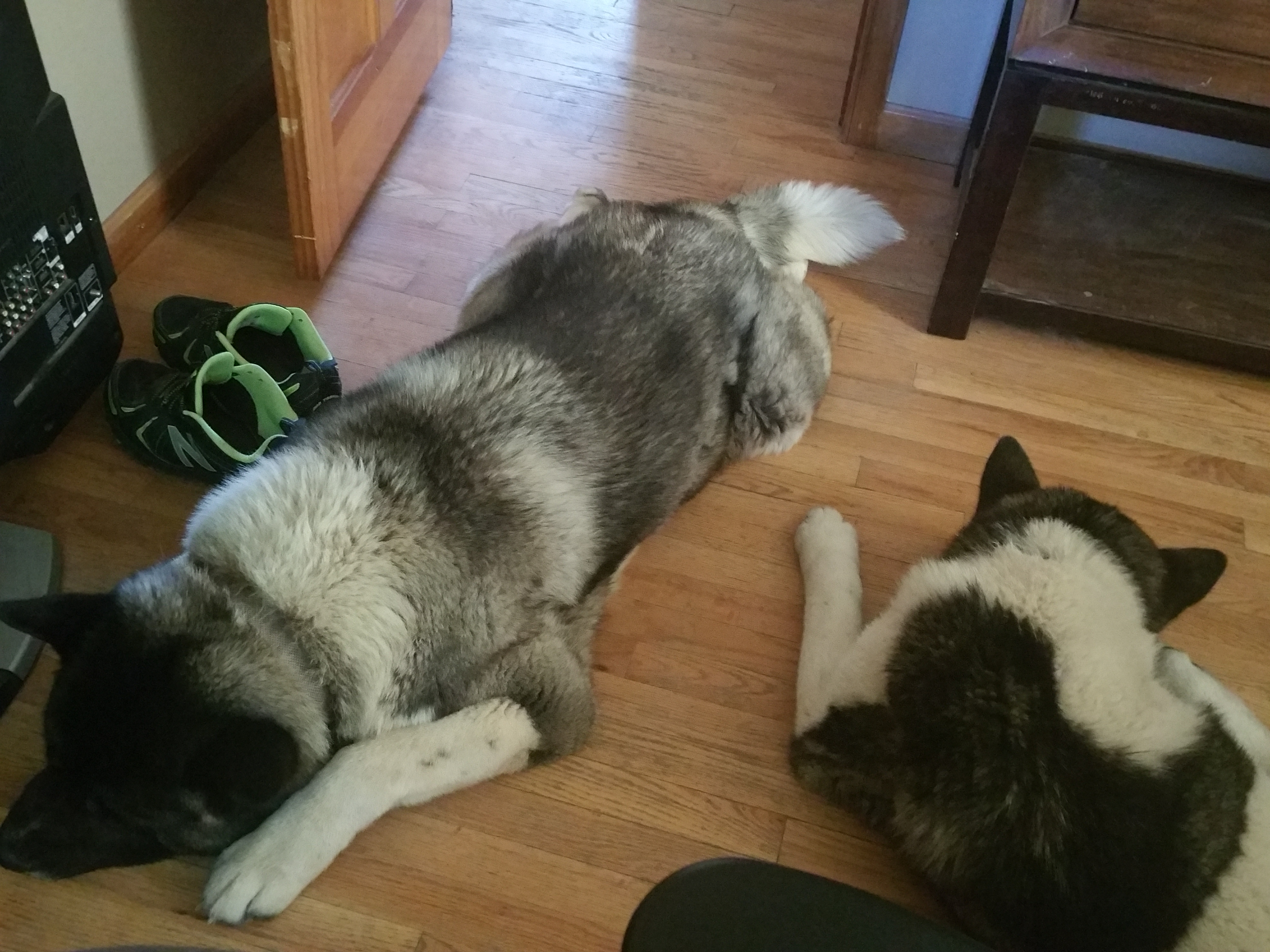 20180524_175157 1.jpg