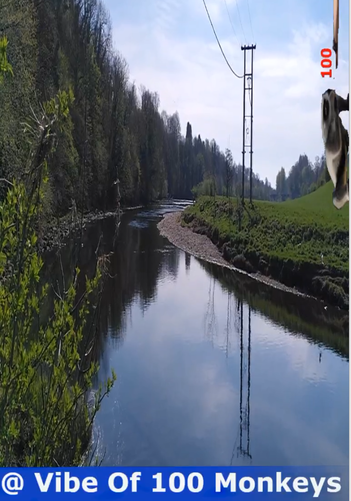 Screenshot 20200505 at 20.24.27.png