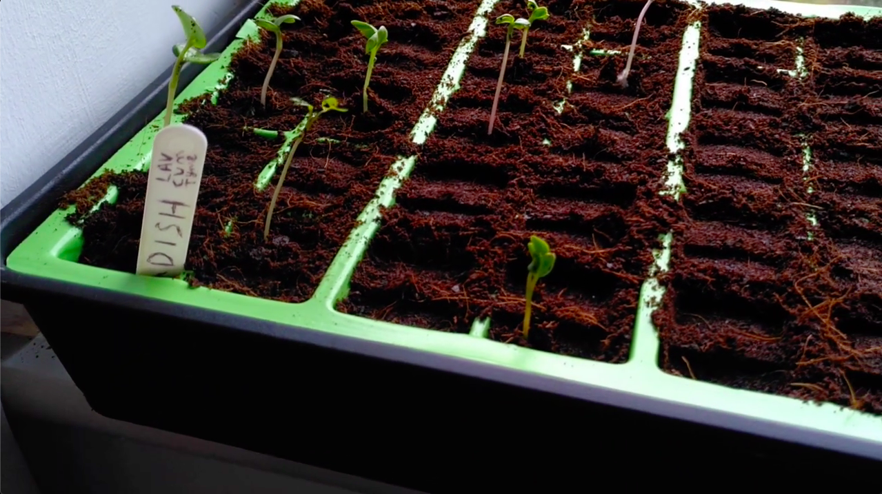 Screenshot 20200411 at 00.34.55.png