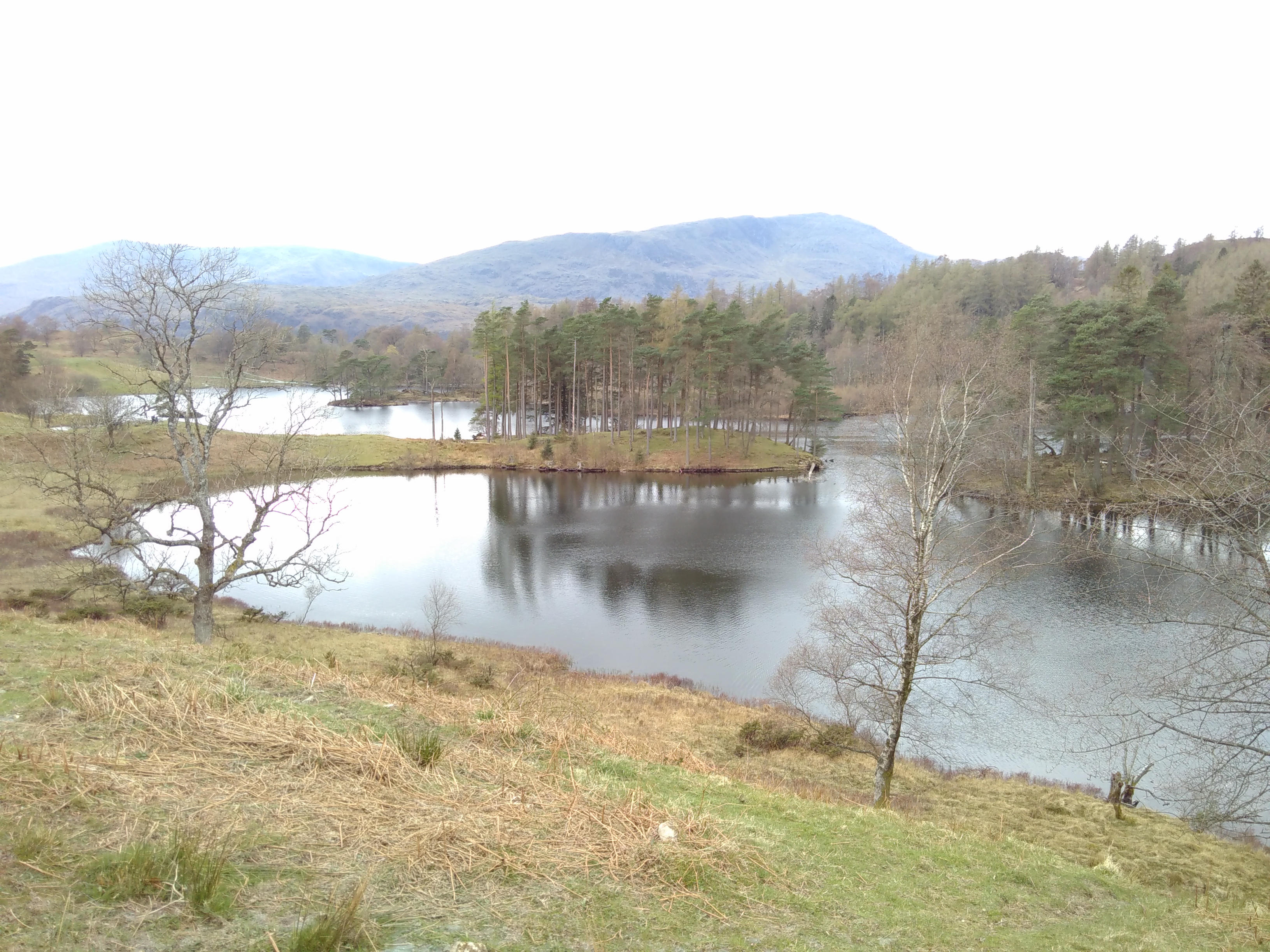 IMG_20190414_124605.jpg