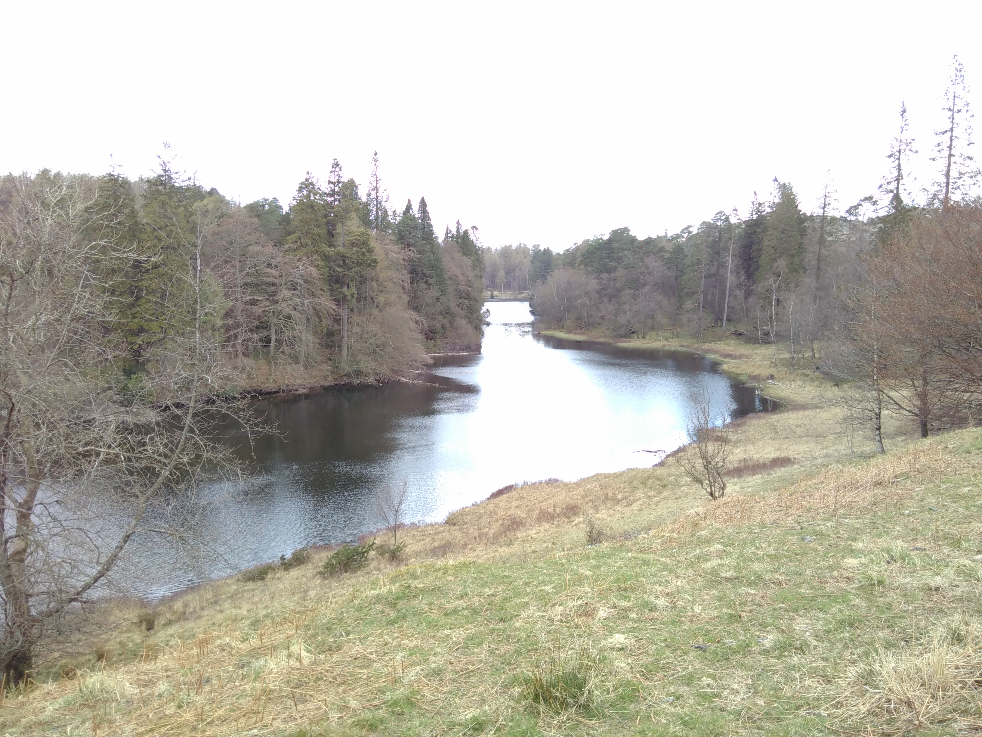 IMG_20190414_124609.jpg