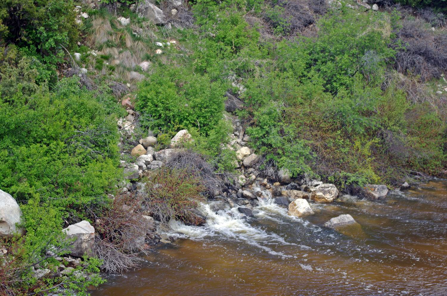 Popo Agie River Rises Sinks Canyon Wondrous Wyoming