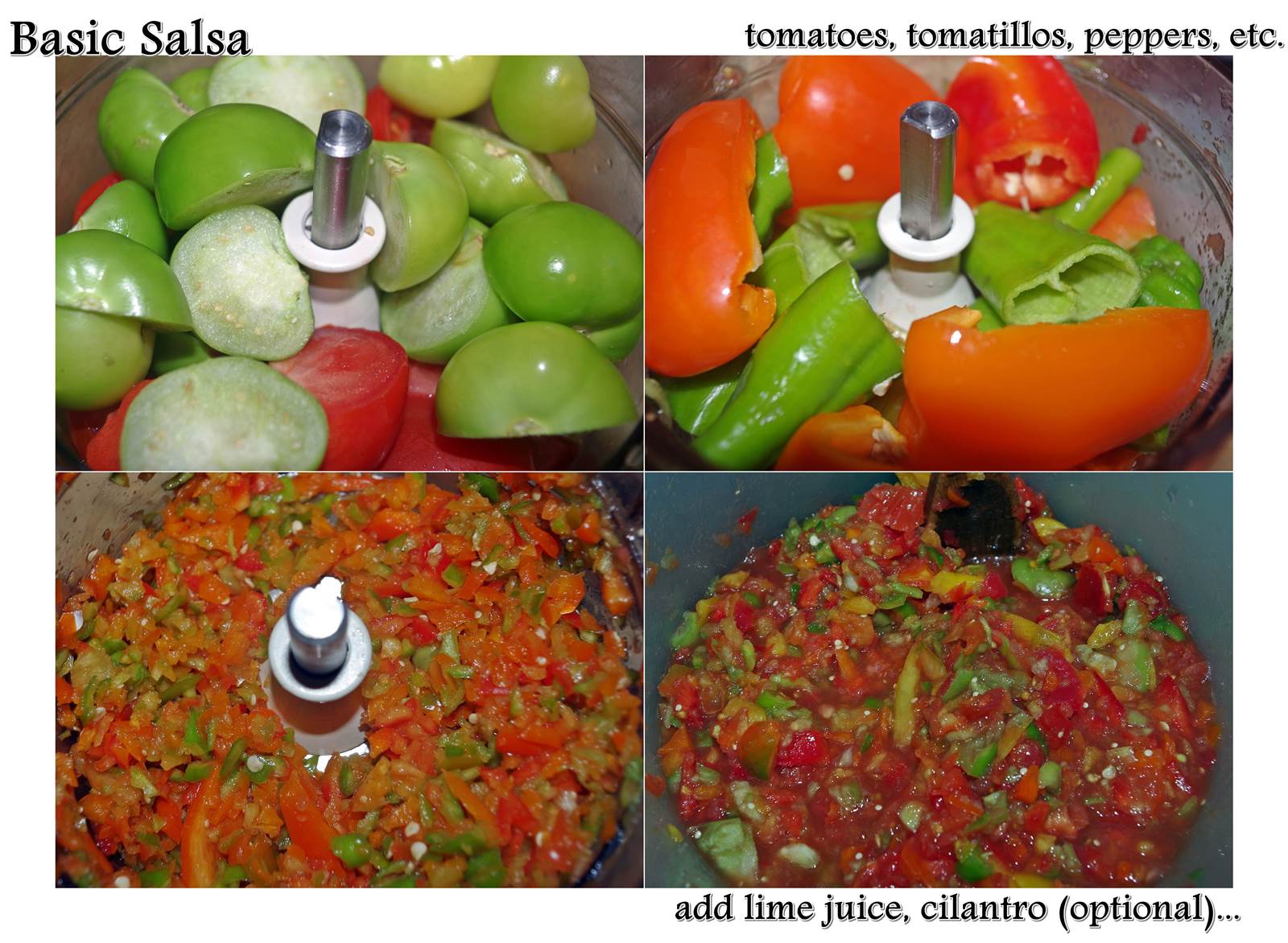 salsa_step_by_step.jpg