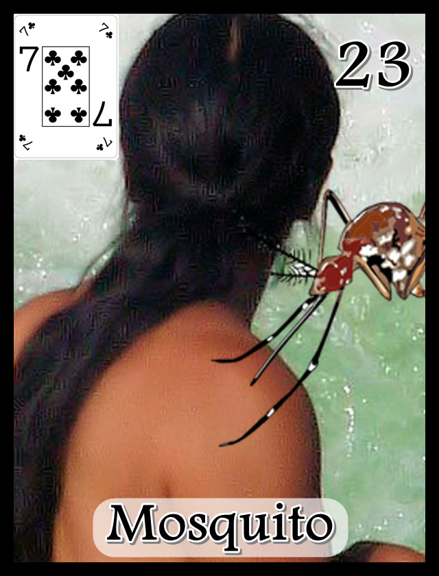 23_mosquito_label_lowres.png