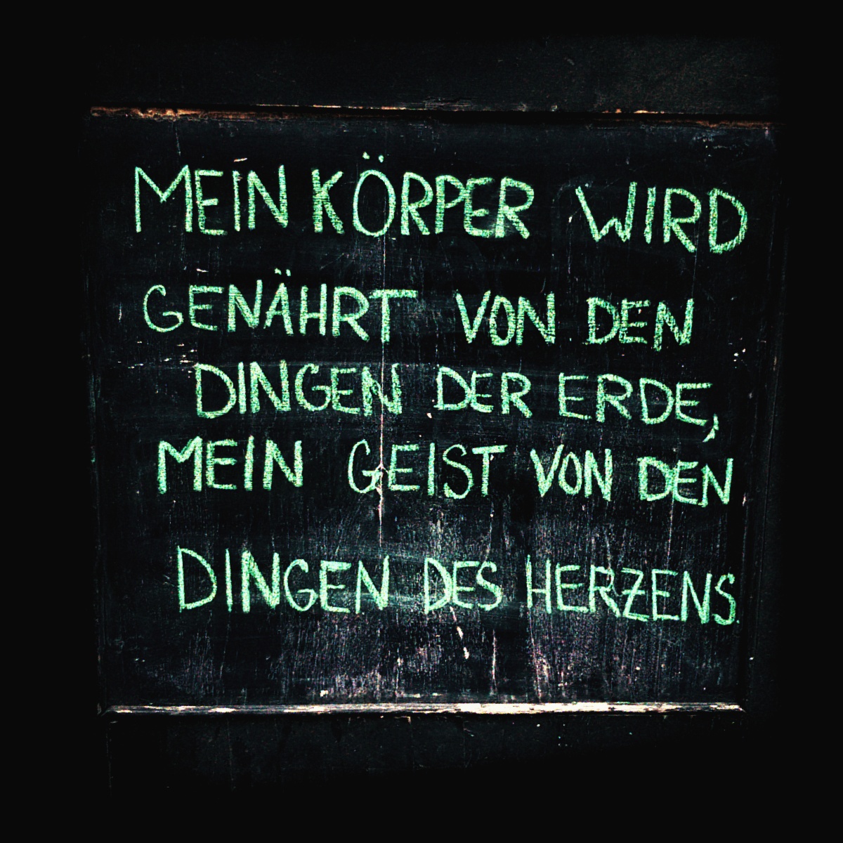 20190828_1315031.jpg
