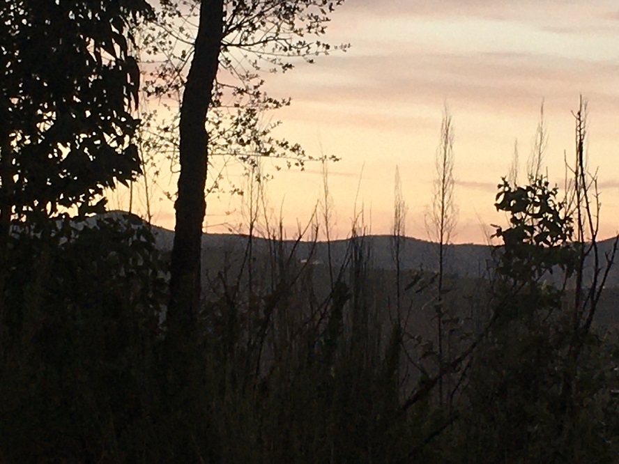 IMG_3089.JPG