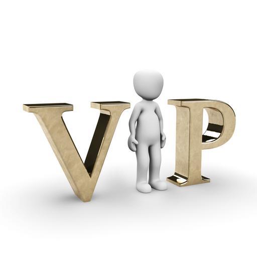 vipservice