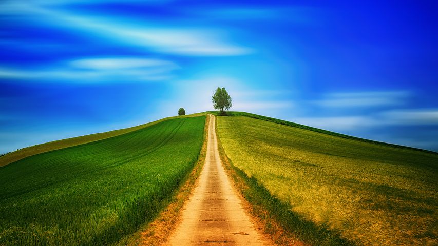 away - source pixabay.com