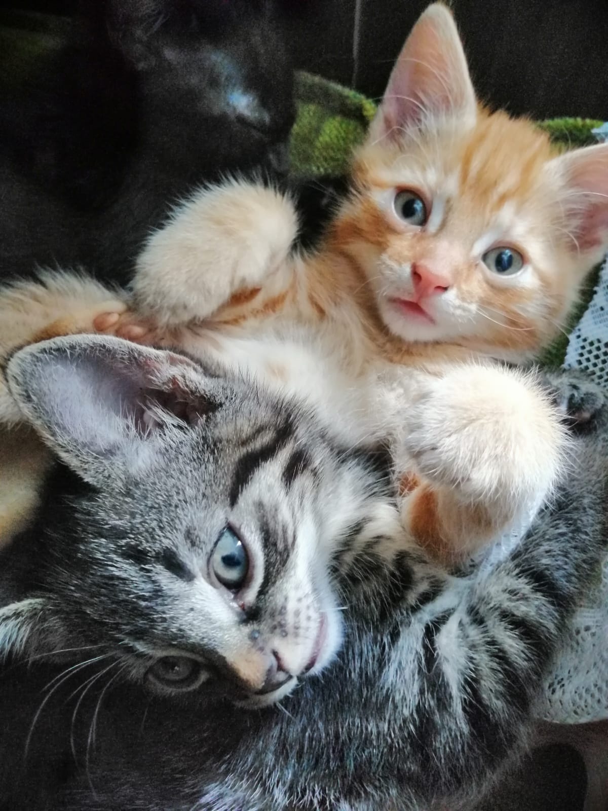 IMG20191104WA0013.jpg
