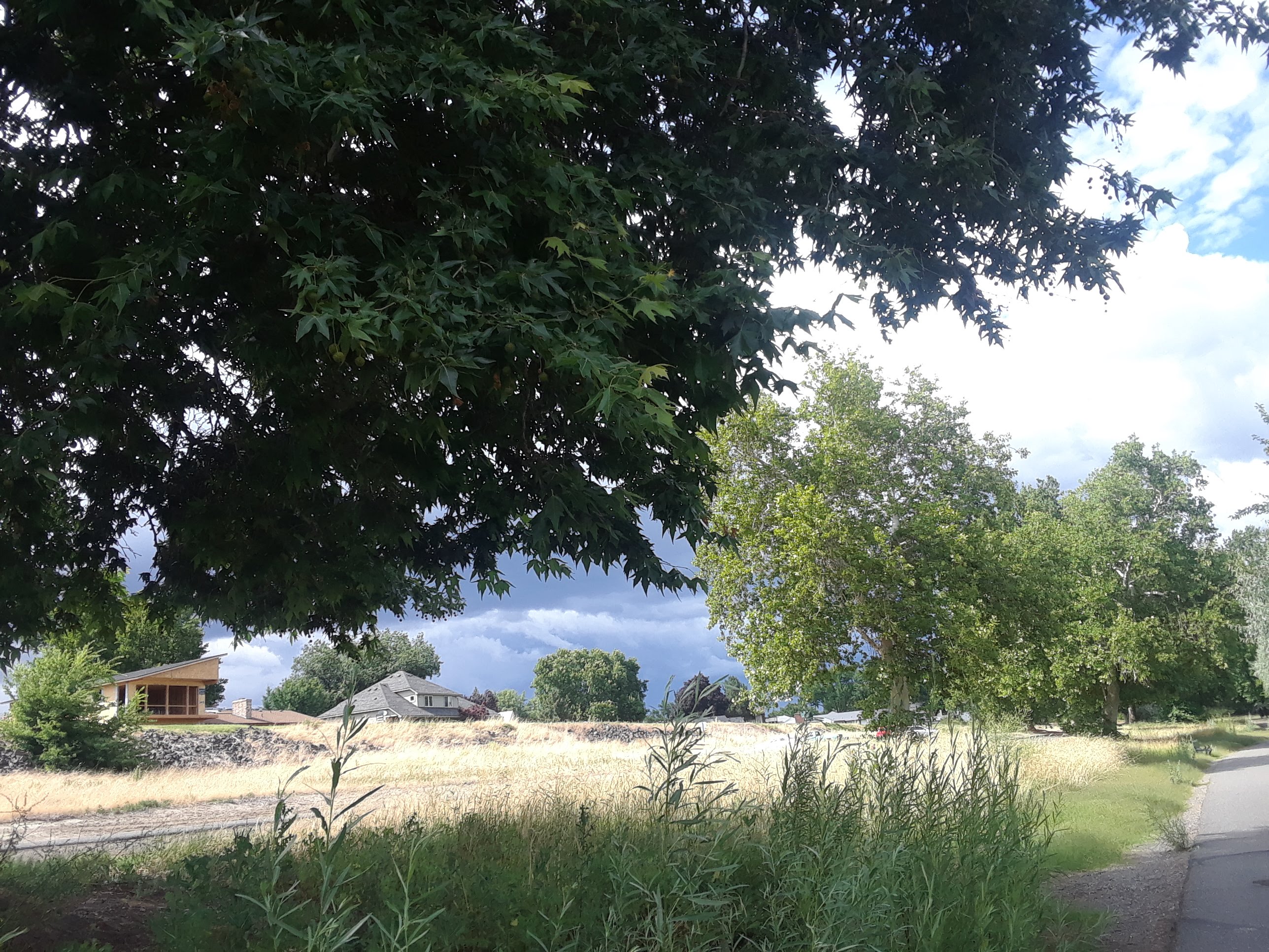 20200628_160017.jpg