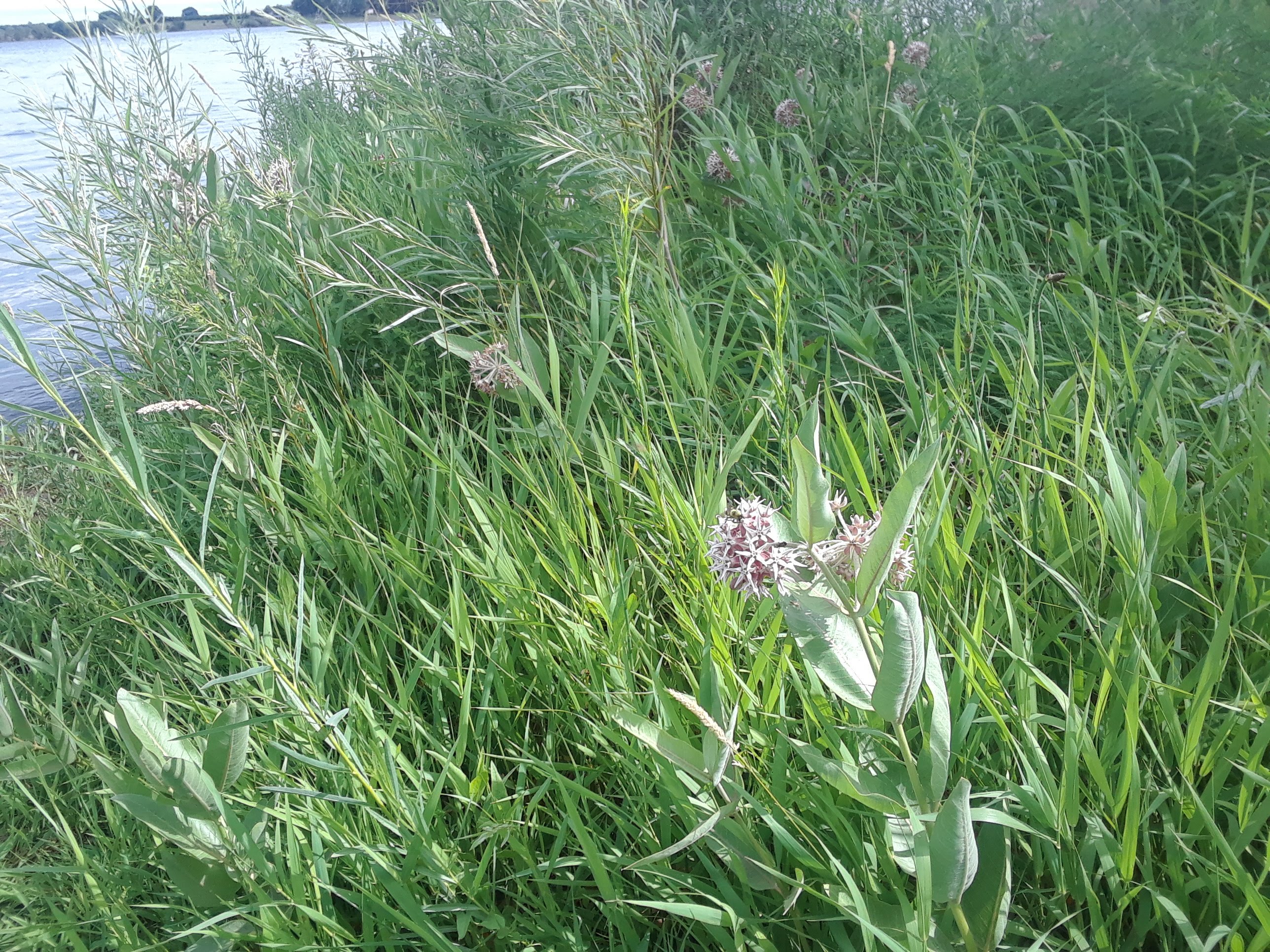 20200628_155754_001.jpg