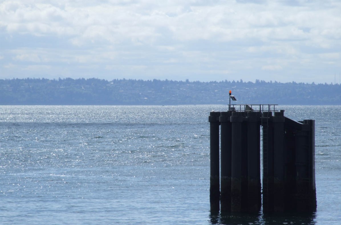 WLE0063Water.jpg