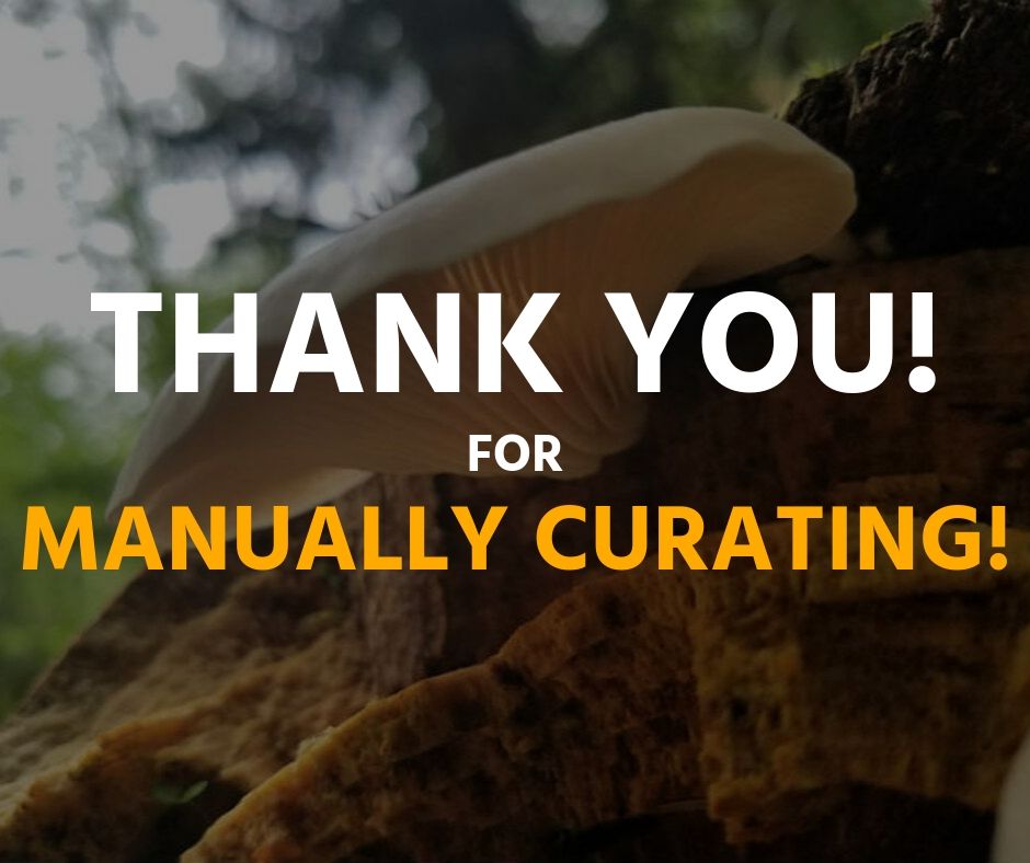 Thank you.jpg