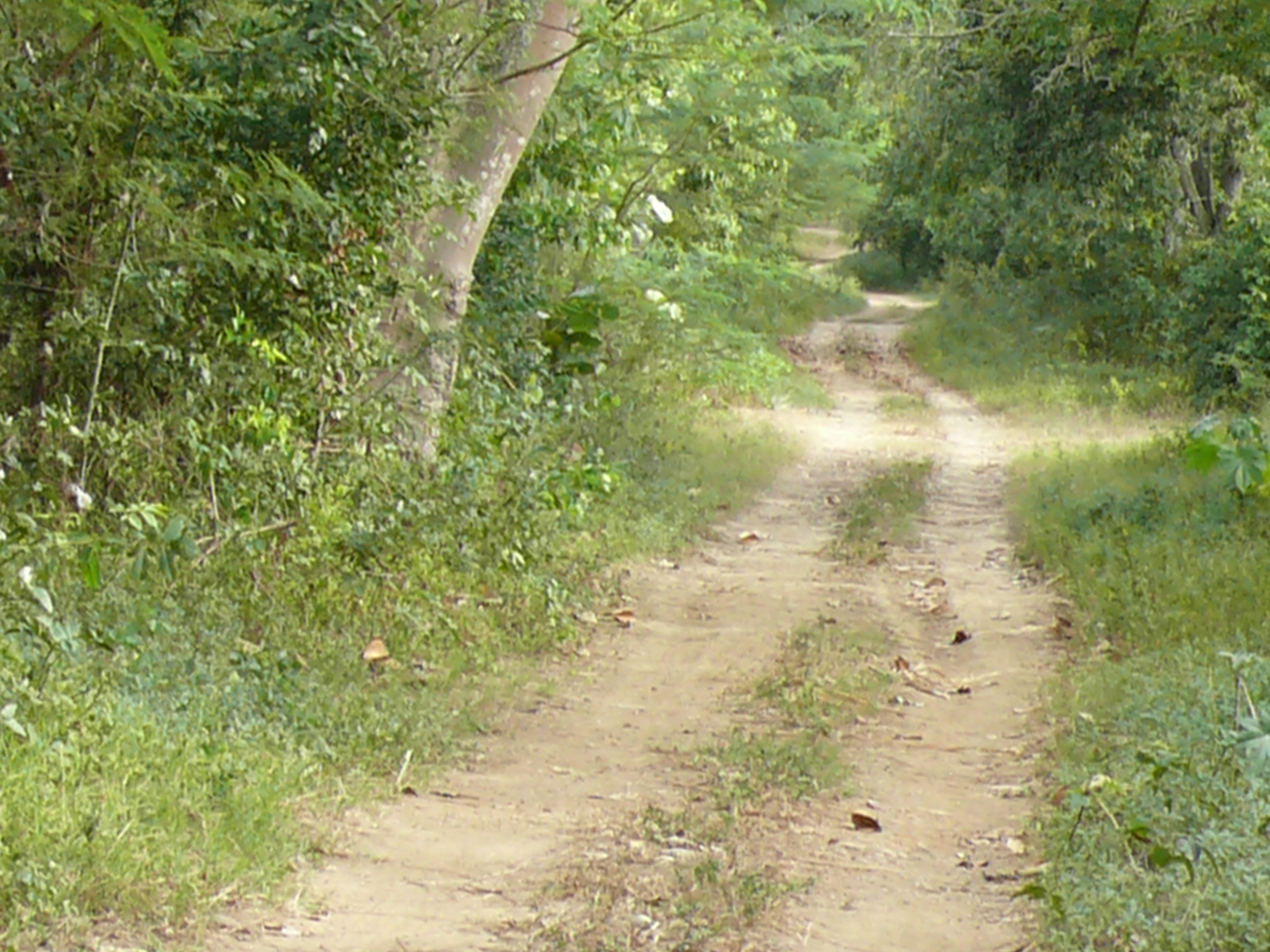 P1920107.JPG