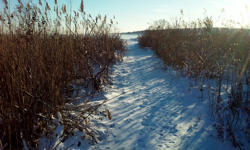 FrozenPath.jpg