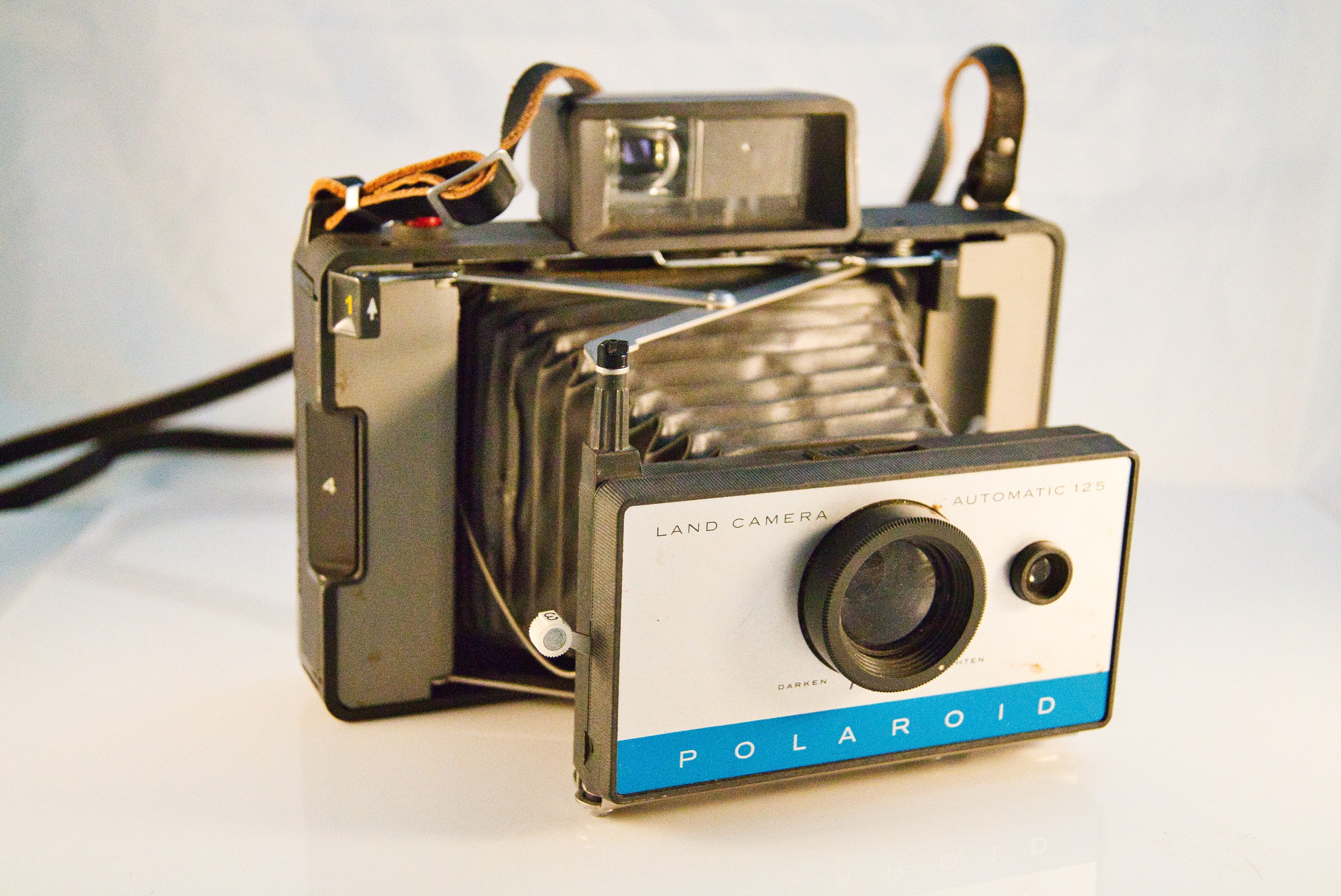 _DSC7376.jpeg