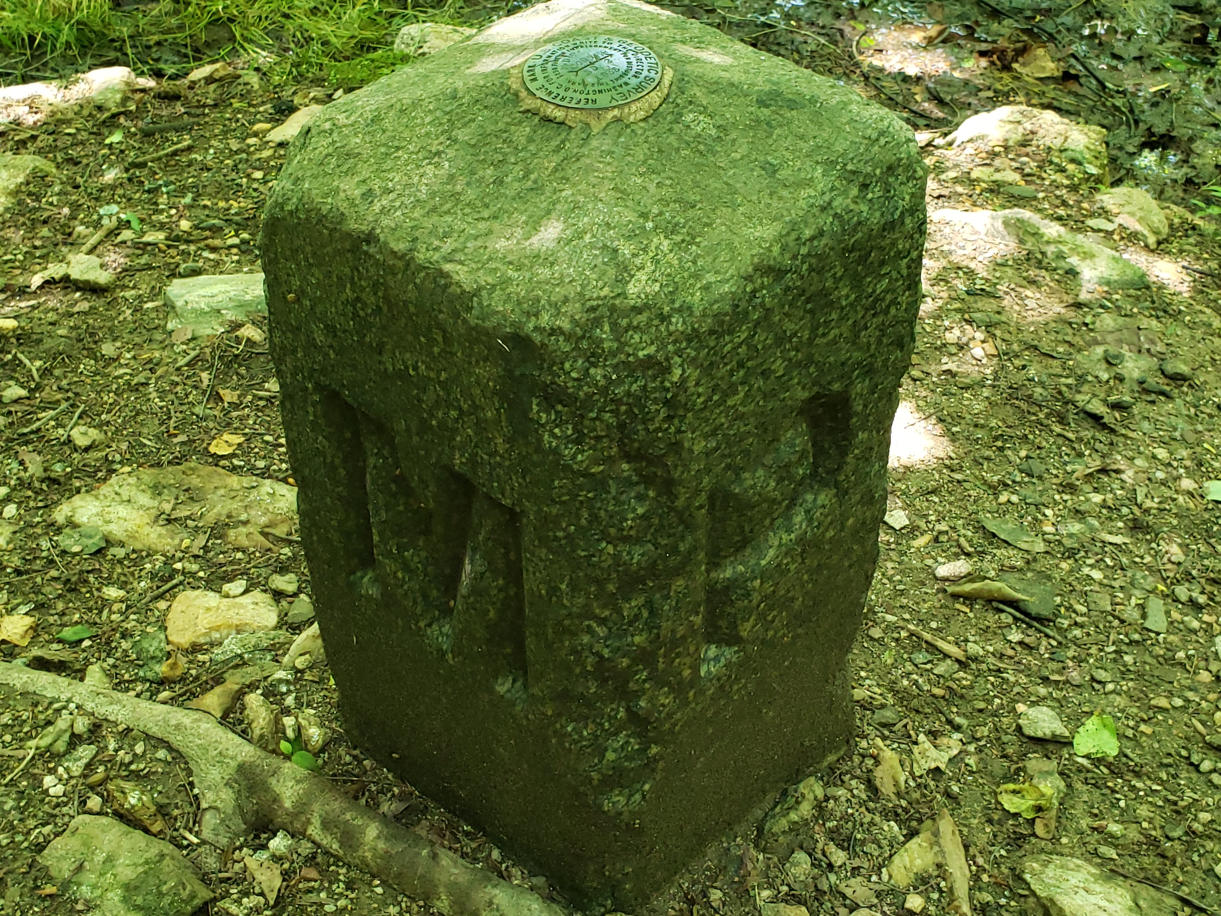 20190623_132846.jpg