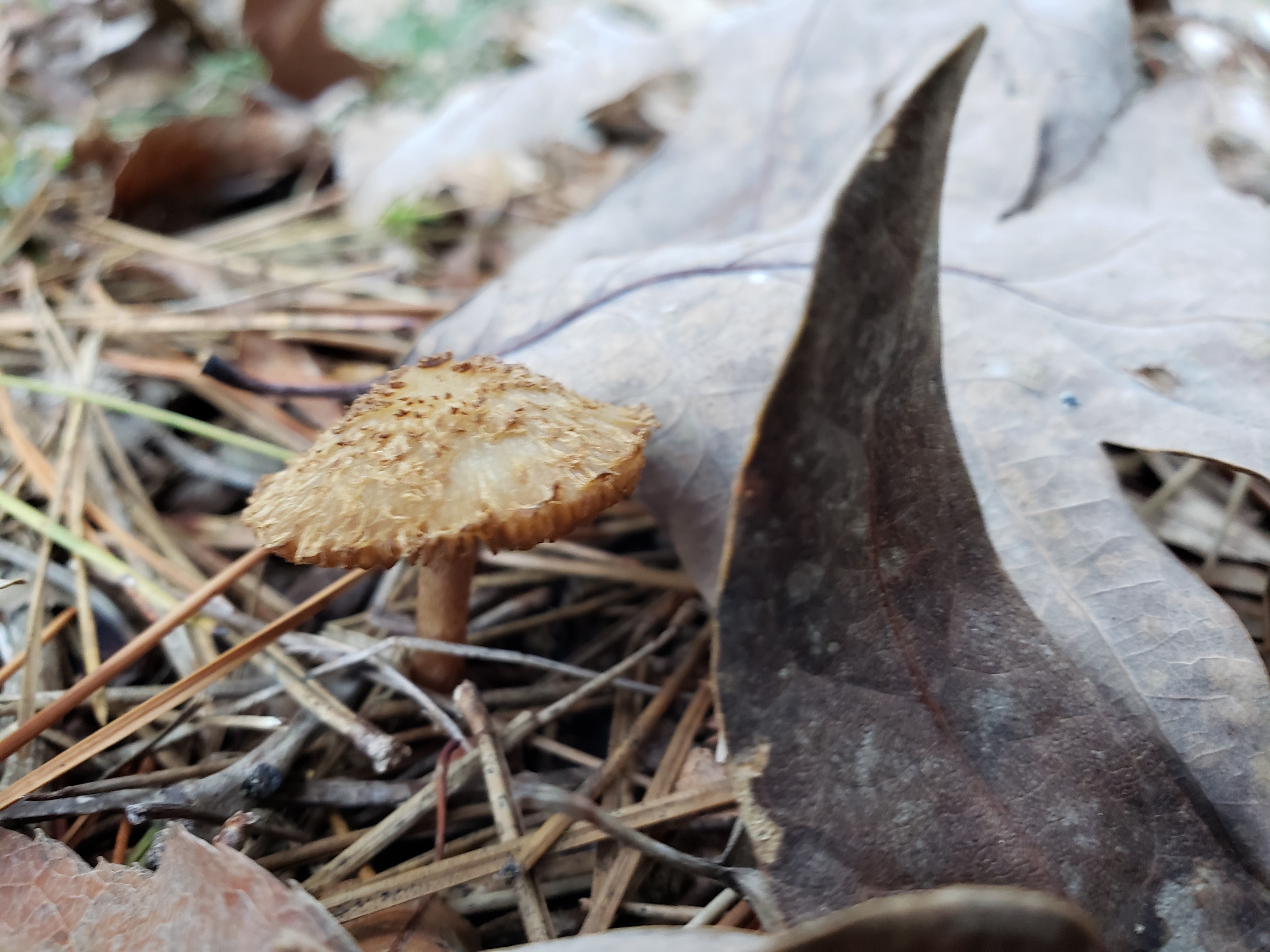 20191102_173050.jpg