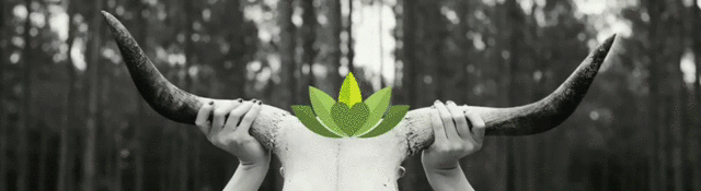 l1t45gdL-natmedicine.gif