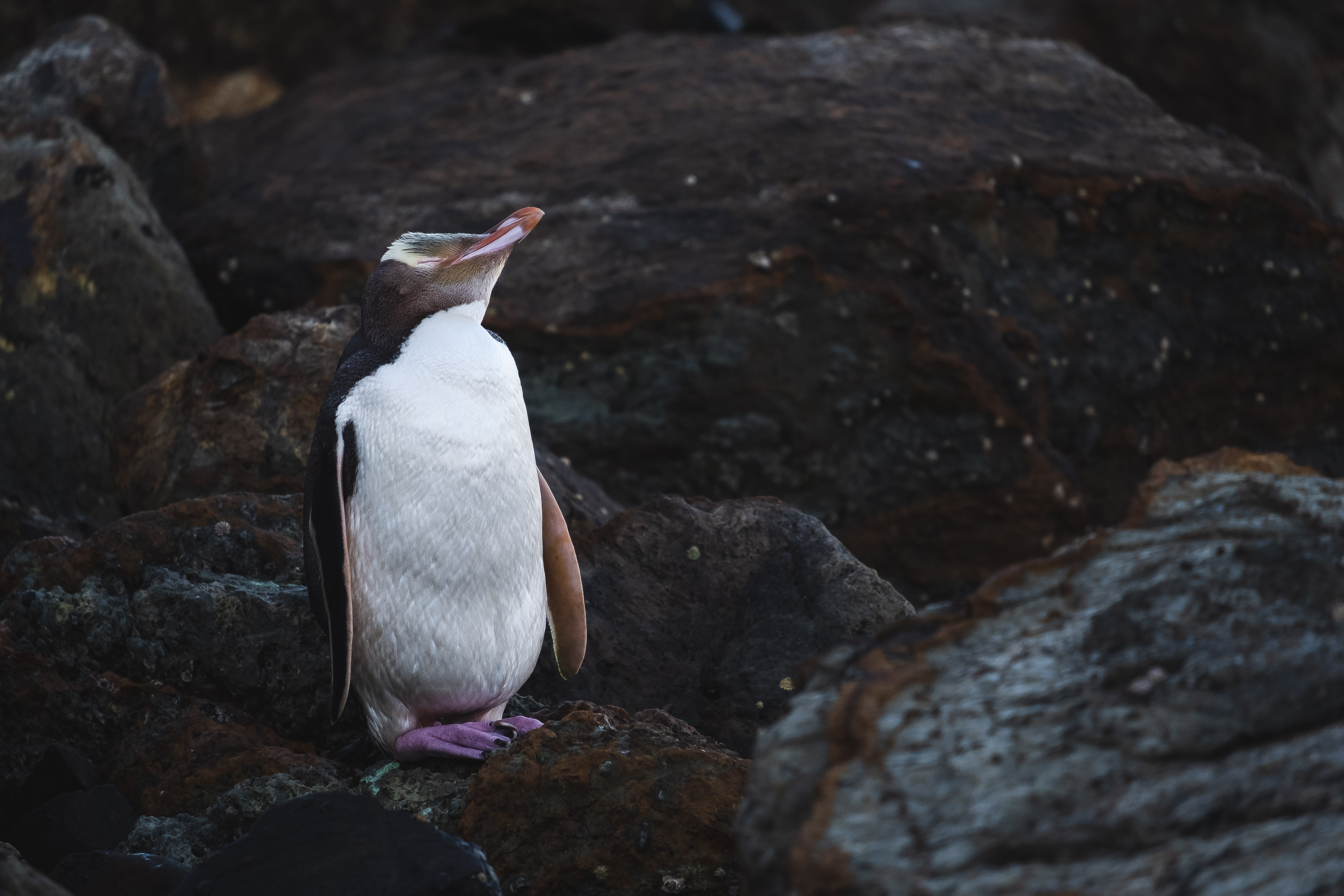 DSCF5818.jpg