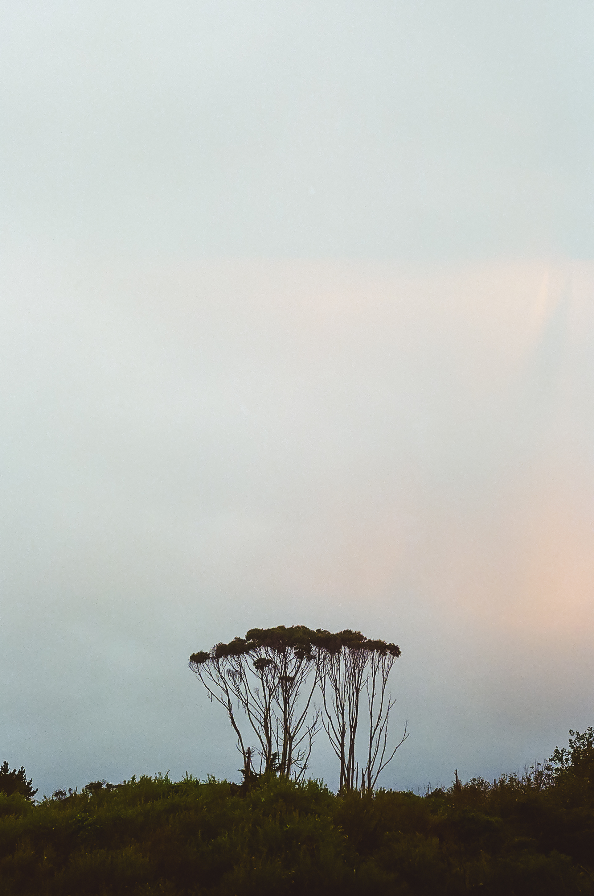 70880032.JPG