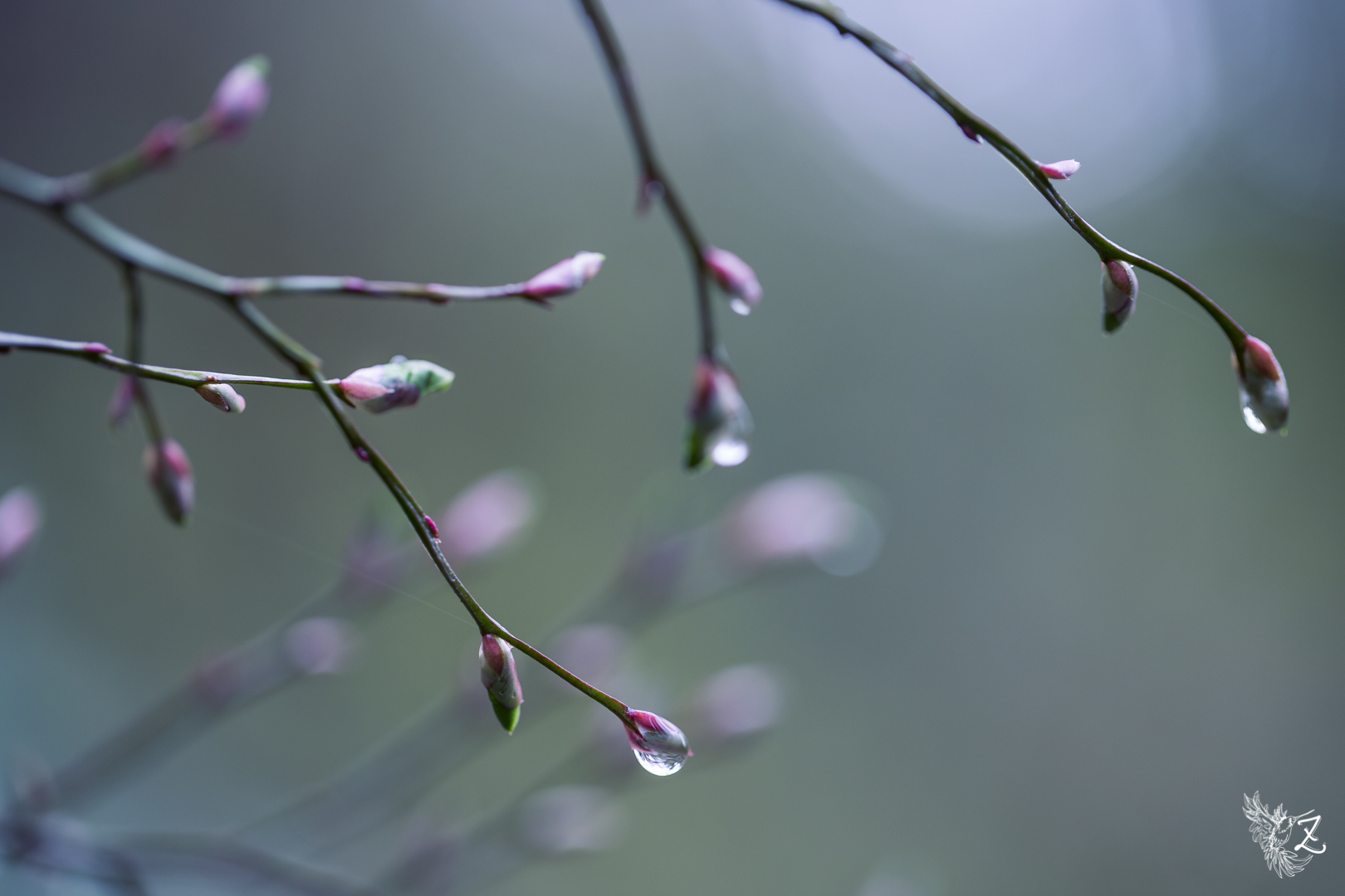 spring201780.jpg
