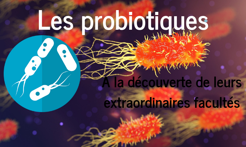 Les probiotiques.png
