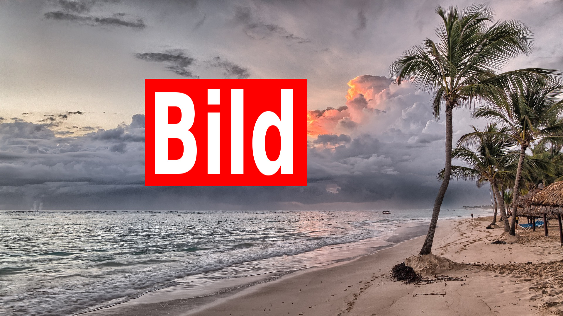 bild mit netten hintergrund.jpg